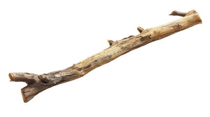 Fototapeta premium Conceptual Dry Wooden Twig Isolated on White Background for Natural Decoration and Design Projects transparent background