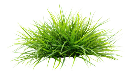 Bright and Fresh Green Grass Isolated on White Background for Use in Graphic Design, Nature Projects, and Ecological Themes transparent background
