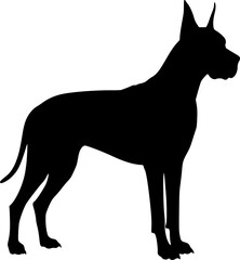Obraz premium Vector silhouette of Great Dane on white background. Symbol of pet and breed. Transparent background PNG cutout.