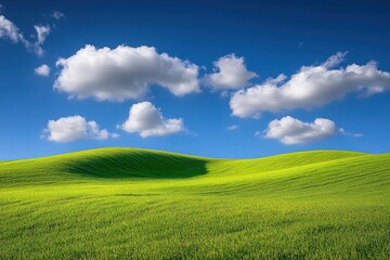Obraz premium Sunny day, rolling green hills, blue sky, fluffy clouds, farmland landscape