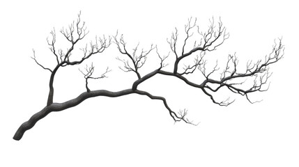 Fototapeta premium Tree branch transparent background