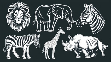 Obraz premium African Safari Animals Lion Elephant Zebra Giraffe Rhino Wildlife Collection