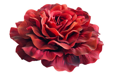 Naklejka premium Rosa artificial.