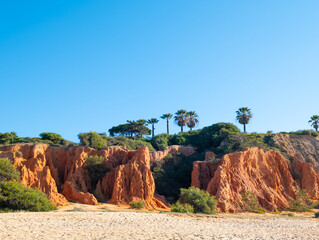 Nature in Quarteira