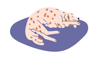 Cute dog sleeping on mat. Canine animal resting, relaxing on pet bed at home. Calm peaceful doggy, puppy of English Setter breed, lying asleep. Flat vector illustration isolated on white background