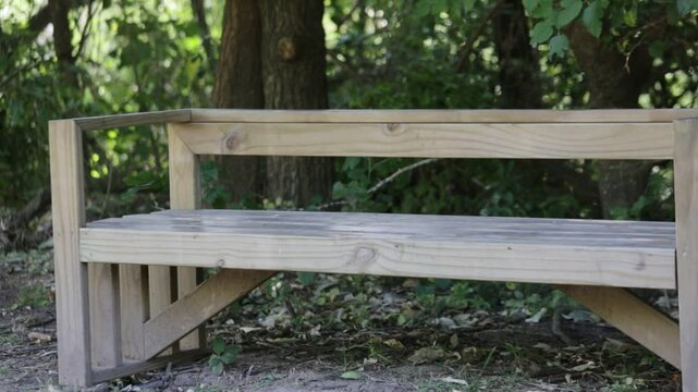 ASIENTO DE MADERA EN EL BOSQUE
