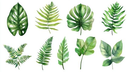 Beautiful Collection of Tropical Green Leaves for Natural Design