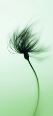 Sunflower with green and yellow petals moving in the wind. Abstract soft blurred natural background