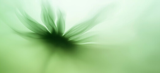 Sunflower with green and yellow petals moving in the wind. Abstract soft blurred natural background
