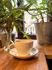 A white cup on a wooden table surrounded by potted plants. Photo taken with smartphone