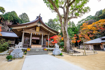 Naklejka premium 秋の竈門神社 福岡県太宰府市 Kamado Shrine in autumn. Fukuoka Pref, Dazaifu City.