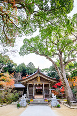 秋の竈門神社　福岡県太宰府市　Kamado Shrine in autumn. Fukuoka Pref, Dazaifu City.