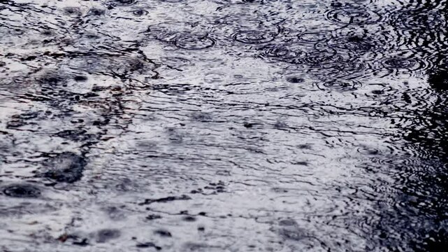 In puddles wide droplets dance, shapes in circles start to prance