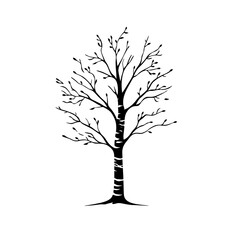 Obraz premium Black silhouette of a bare tree with branches.