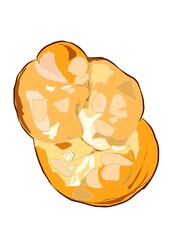 Illustration of bread bun or cinnamon roll with  caramel and sugar, sweet pastry.