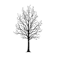 Black silhouette of a bare tree with branches.