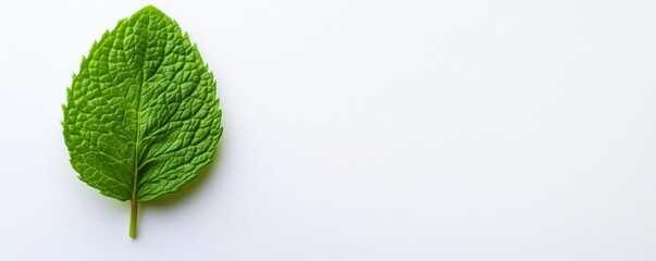 A single fresh mint leaf, close-up shot, crisp and vibrant green, isolated on white background