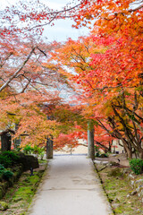 秋の竈門神社　福岡県太宰府市　Kamado Shrine in autumn. Fukuoka Pref, Dazaifu City.