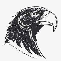 graceful Black lorikeet head Vector.