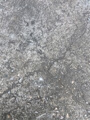 Moss grows in cracks on the concrete floor