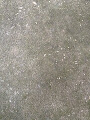 Moss grows in cracks on the concrete floor