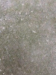 Moss grows in cracks on the concrete floor