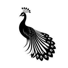 Fototapeta premium Elegant black silhouette of a peacock.