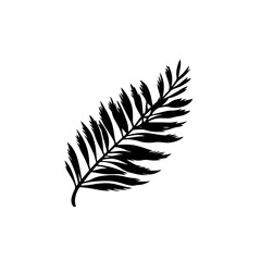 Obraz premium Silhouette of a single palm frond, isolated on white.