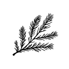 Black and white illustration of a pine branch.