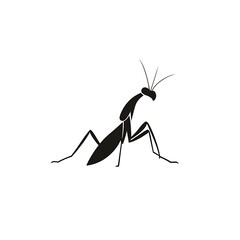 Praying mantis silhouette icon.