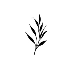 Fototapeta premium Simple black silhouette of a sprig with leaves. (2)