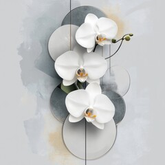 Elegant white orchids arranged with geometric circles and watercolor wash background. © Nurul
