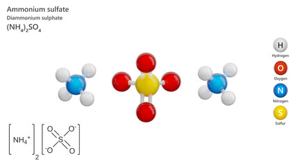 Molecule: Ammonium Sulfate. Fertilizer. Molecular structure. Formula: (NH4)2SO4. Chemical model: Ball and stick. White background. 3D illustration.