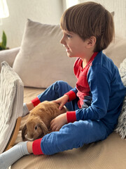 A Boy and His Little Bunny Friend