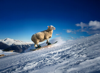 Naklejka premium A fluffy sheep, skis strapped to its hooves, gracefully glides down a snowy mountain slope under a vibrant blue sky. The scene is playful and whimsical.