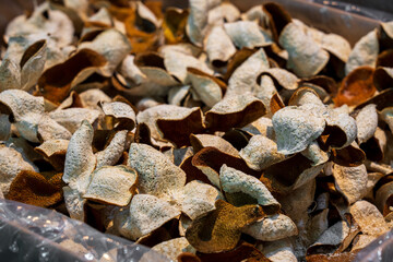 Dried Natural Decorative Leaves for Crafting and Home D?cor