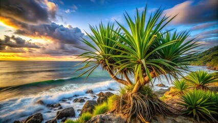 Fototapeta premium Bangka Island's Pandanus odorifer, a thorny coastal plant, captured in a mesmerizing long exposure photograph.
