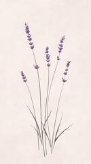 Naklejka premium Elegant Lavender Stems on Soft Beige Background for Tranquil Ambiance
