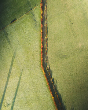 Aerial view of a beautiful green field and meadow in a misty morning, Accous, France.