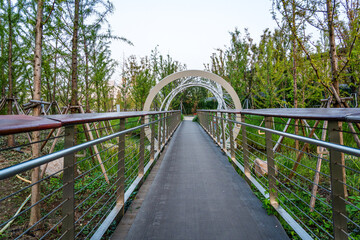 Obraz premium Serene Walkway Through a Lush Garden Oasis