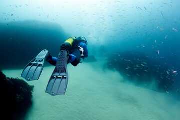 scuba diver in wetsuit and fins diving near sandy bottom of deep blue ocean with school of fish, concept of underwater adventure and active lifestyle