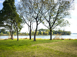 Tranquil Landscape with Lush Trees and Calm Water Reflections