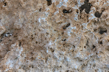 Intricate textures of natural stone revealing earthy tones and unique formations in sunlight