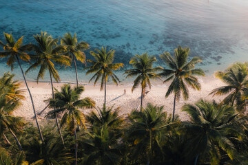Aerial view of serene Mandel beach with tropical palm trees and crystal clear ocean, Totikum, Central Sulawesi, Indonesia.