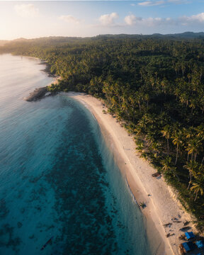 Aerial view of beautiful Mandel beach with palm trees and turquoise water, Banggai Islands Regency, Indonesia.