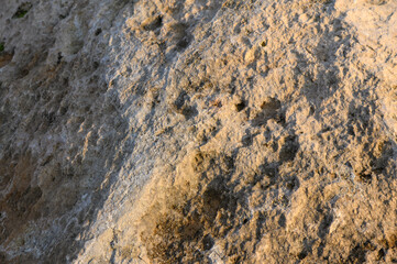 Textured surface of a rocky terrain showcasing intricate patterns in natural light during sunset