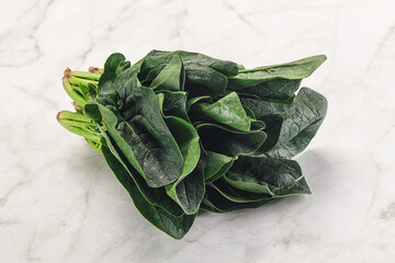 Ripe green spinach leaves heap