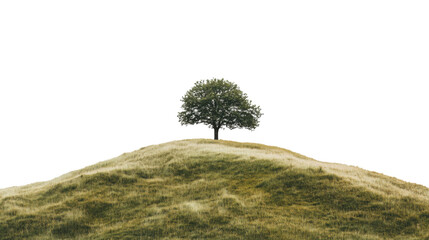 Fototapeta premium Green hill with tree transparent background