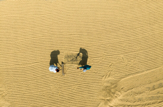 Aerial view of beautiful agricultural fields with patterns and shadows of workers, Kastail, Austagram, Bangladesh.