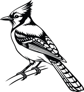 recommend clip art: blue jay bird silhouette